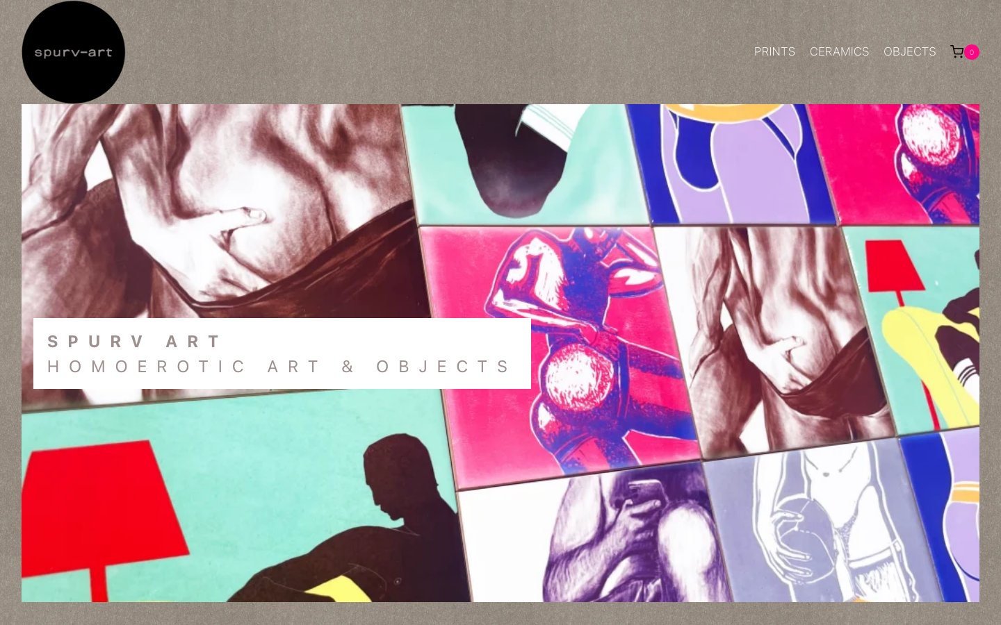 Screenshot preview of Spurv’s website